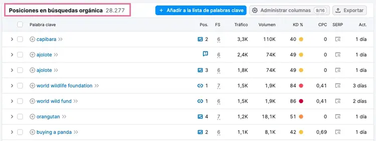 Tabla de posiciones en búsqueda orgánica mostrando palabras clave y tráfico