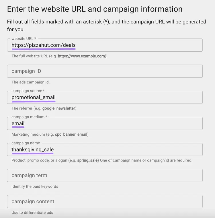 Página "Introducir la URL del sitio web y la información de la campaña" con la información cumplimentada
