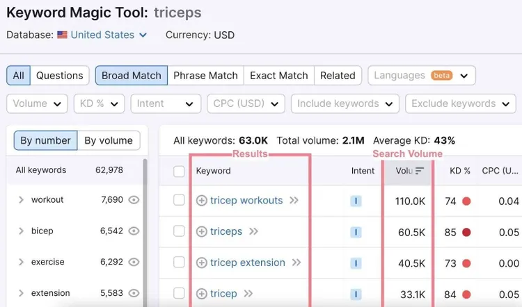 Resultados y volumen en Keyword Magic Tool