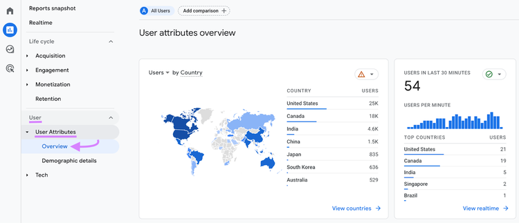 Sección "Visión general de los atributos de usuario" en Google Analytics