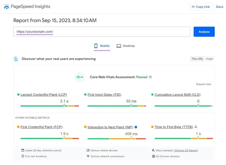Panel de Google PageSpeed Insights