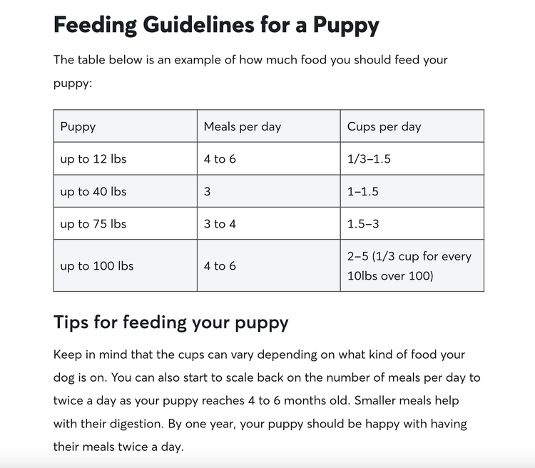 pautas de alimentación para un cachorro página del blog