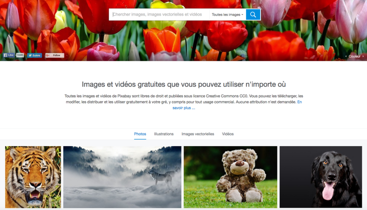 Site Pixabay avec tulipes et texte images gratuites avec onglets photos illustations videos