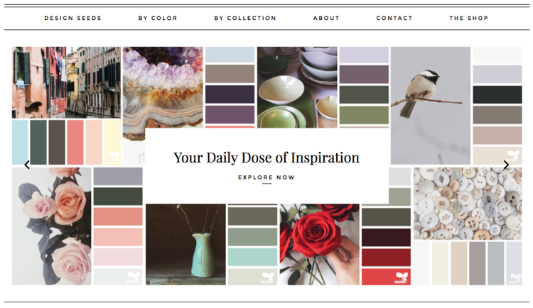 Design Seeds montrant palettes de couleurs avec inspirations visuelles