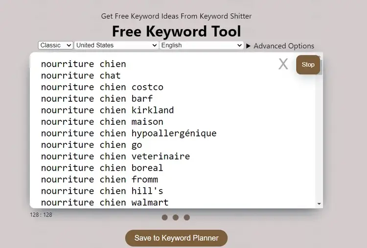Liste de mots clés obtenue dans Keyword Sheeter