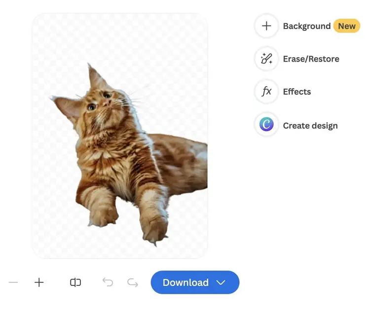 Interface de Remove.bg avec une image d'un chat brun dont l'arrière-plan original a été supprimé.
