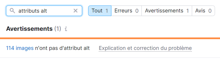 Avertissements concernant le texte alt dans Audit de site