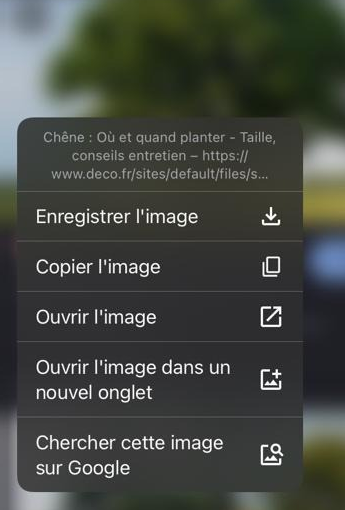 Menu contextuel clic droit avec options enregistrer copier ouvrir image