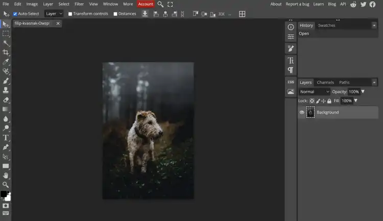 Interface de Photopea avec une photo au centre et des options d'édition au-dessus et de chaque côté de l'image.