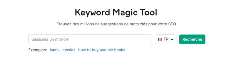 Barre de saisie de Keyword Magic Tool
