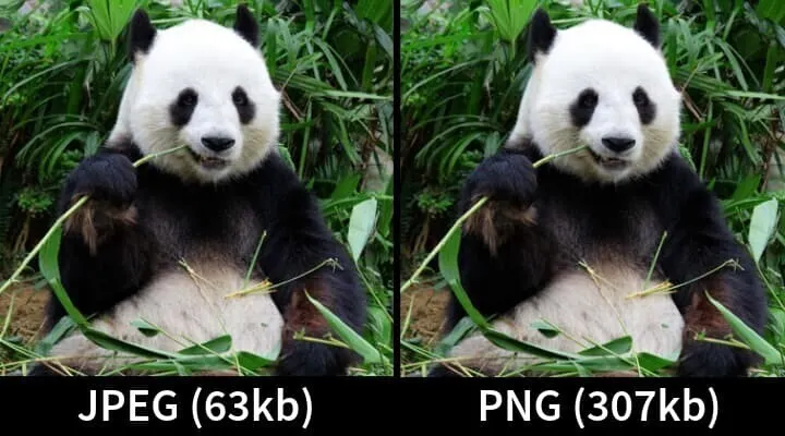 Comparaison de la taille des images JPEG et PNG