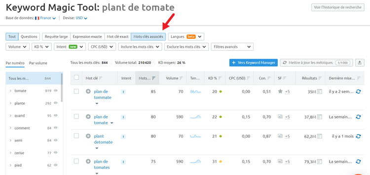 Semrush Keyword Magic Tool mots clés associés