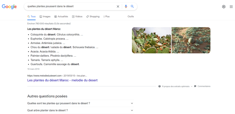 Google, mot clé "Quelles plantes poussent dans le désert"