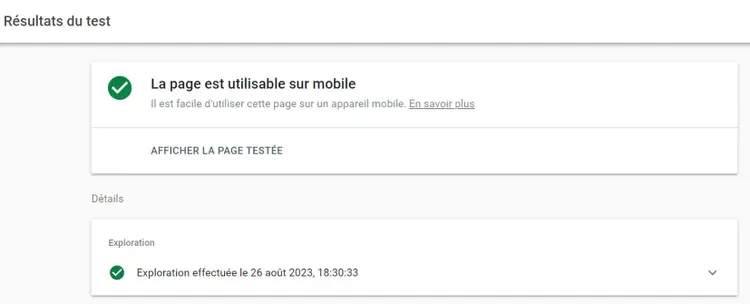Résultats du Test d'optimisation mobile de Google.
