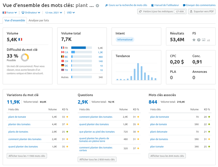 Semrush Vue d'ensemble des mots clés plant de tomate