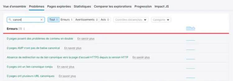 Erreurs canoniques dans Audit de site