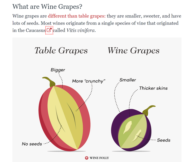 Infographie sur les raisins de cuve