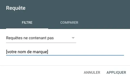 Filtre Semrush requêtes: exclure nom marque, sessions organiques sans marque