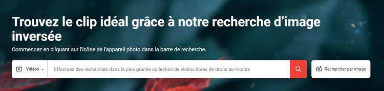 Recherche d’image inversée pour les vidéos, Shutterstock