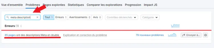 Problèmes de meta descriptions dans Audit de site