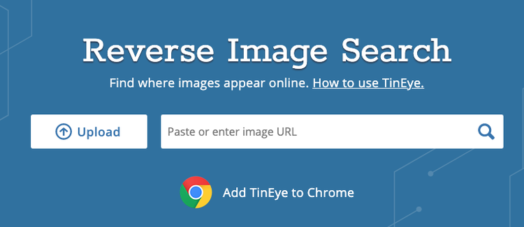 Recherche d’image inversée pour les vidéos, TinEye