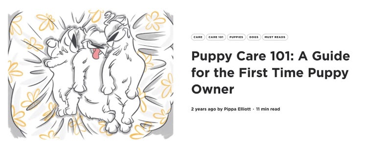 Article de Petcube intitulé : "Soins aux chiots 101 : Un guide pour le nouveau propriétaire de chiot"
