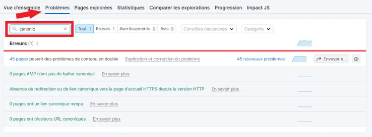 Audit de site, problèmes touchant les canonicals