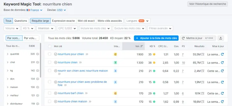 Keyword Magic Tool, informations sur les mots clés