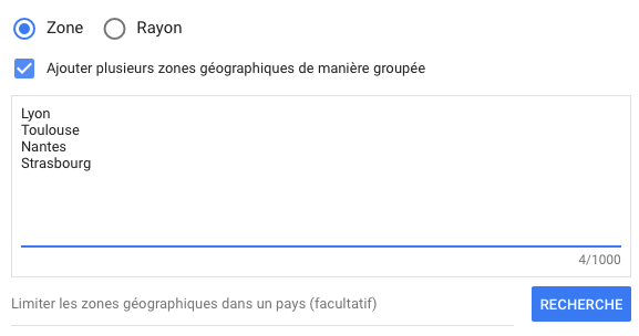 Dialogue selection zone Google Ads avec liste villes Lyon, Toulouse, Nantes, Strasbourg