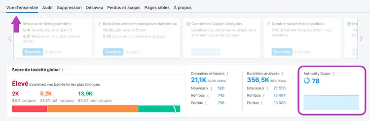 Backlink Audit, Authority Score en bas à droite
