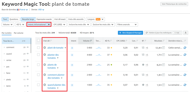 Semrush Keyword Magic Tool plant de tomate informationnel