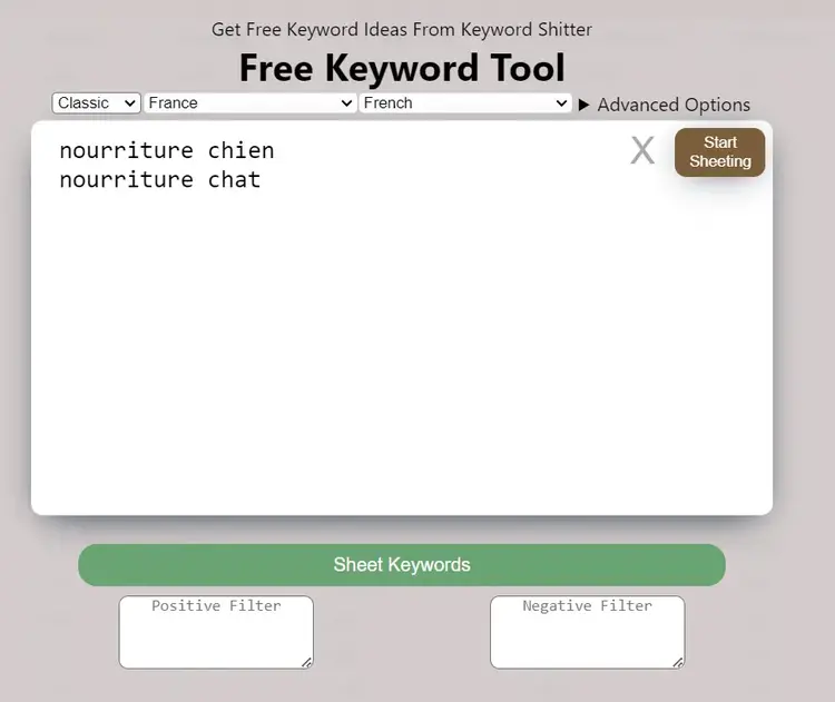 Saisie de mots clés dans Keyword Sheeter
