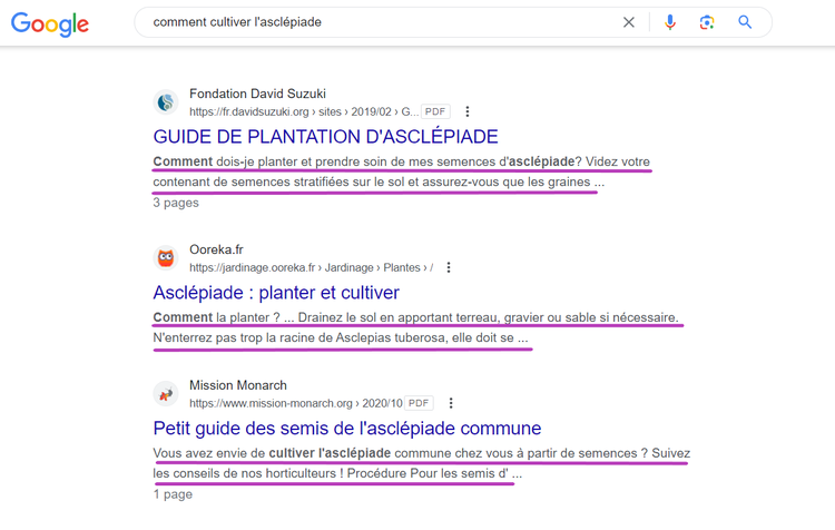 Exemples de meta descriptions engageantes