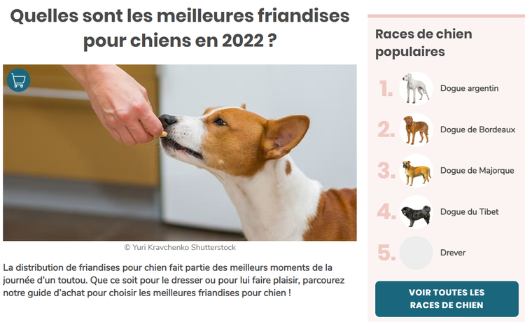 Quelles sont les meilleures friandises pour chiens en 2022