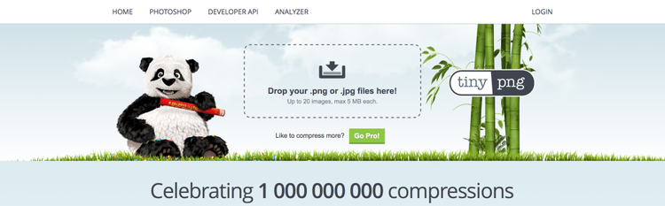 Panda compression images tinypng illustration animation