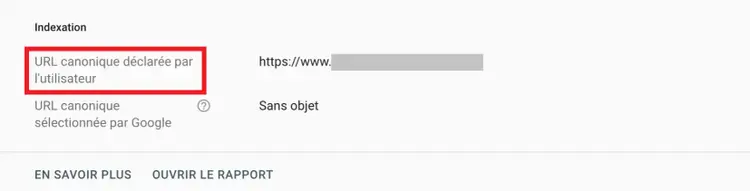 URL canonique déclarée par l'utilisateur dans Google Search Console