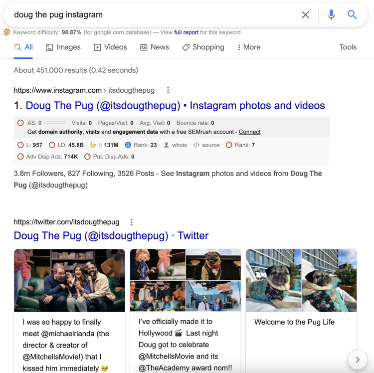 résultats pour Doug the Pug instagram