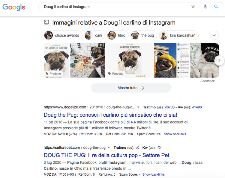 Google immagini Doug il carlino Instagram Pug con foto