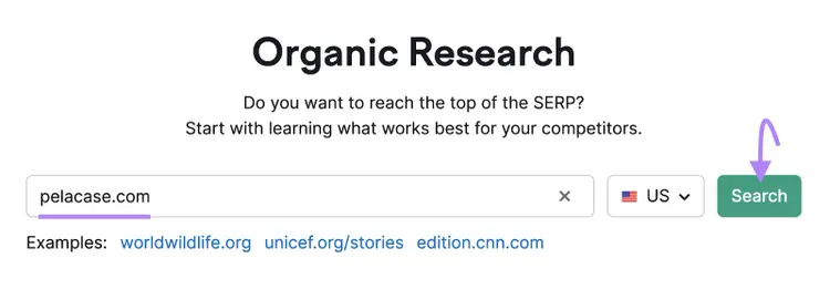 Dominio "pelacase.com" inserito nella barra di ricerca di Organic Rankings