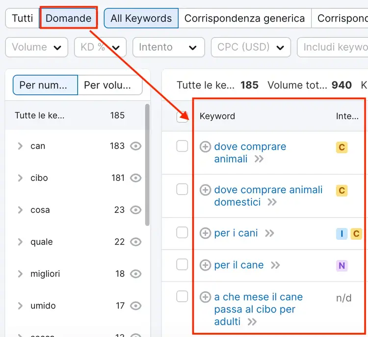 Il filtro Domande di Keyword Magic Tool