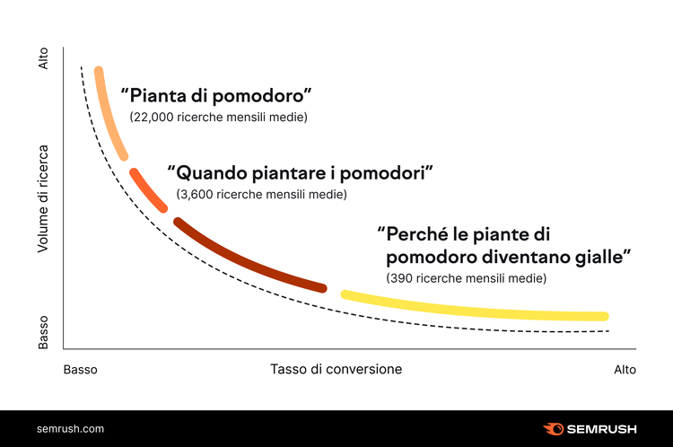 Grafico Pianta di pomodoro volume 22K ricerche mensili medie