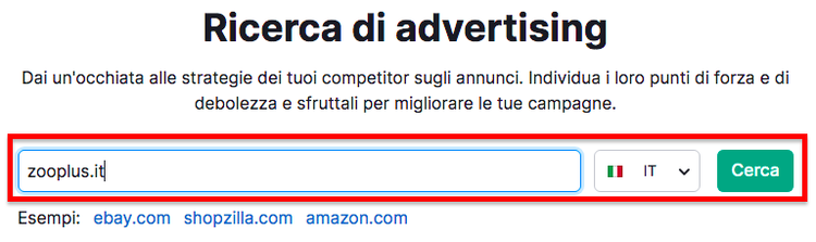 Screenshot: Ricerca di advertising Semrush con campo dominio
