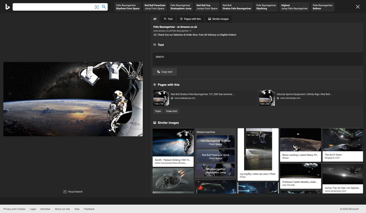 Bing reverse image search results screenshot