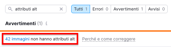 Ricerca attributi alt mostrando avvertimento 42 immagini senza alt
