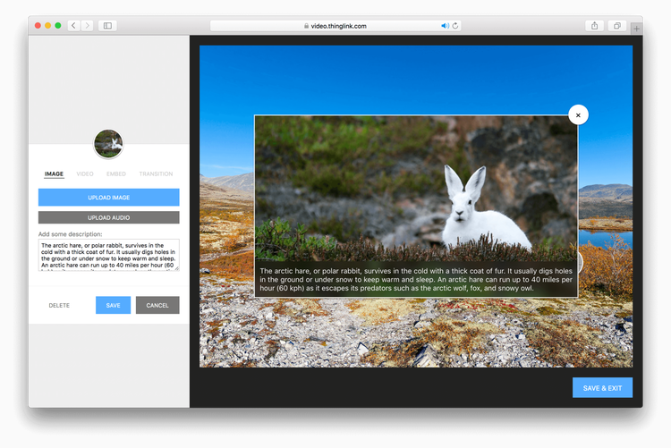 Come creare contenuti dinamici e interattivi con Thinglink