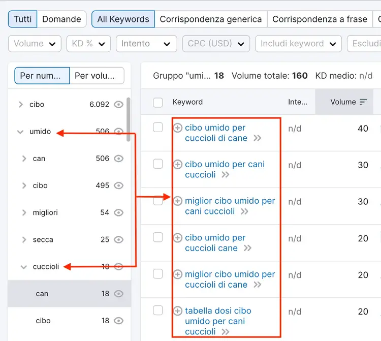 Esempio di gruppi tematici su Keyword Magic tool