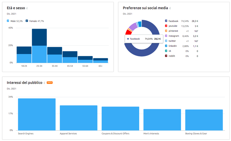 Report Market Explorer dati demografici, social media, interessi pubblico