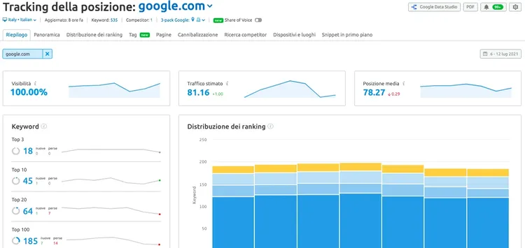 Google Data Studio report layout displaying Domain Analytics and Position Tracking dashboard