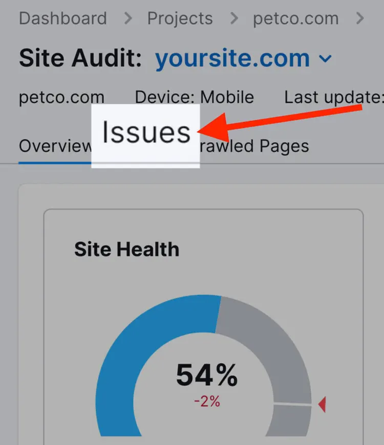 elenco dei problemi dall'audit del sito