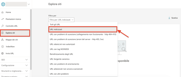 Google Search Console Esplora siti filtro URL indicizzati